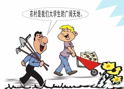 考公、考研難度高，應(yīng)屆生你還有4種選擇